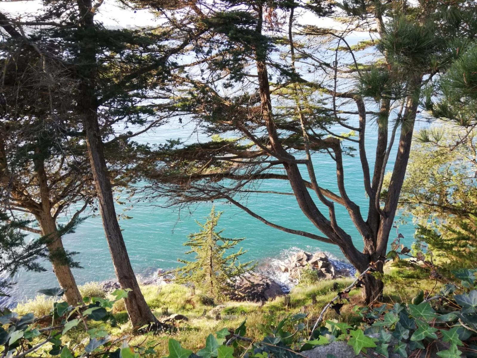 Rance Solidor Ter Saint-Malo Dış mekan fotoğraf